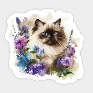 Ragdoll Cat Sticker